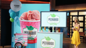 peekaboo ice cream net worth