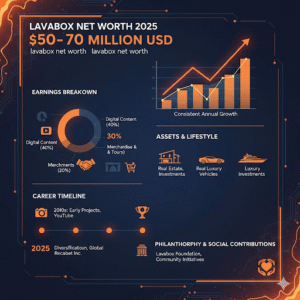 Lavabox Net Worth
