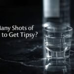 how many shots of vodka to get tipsy