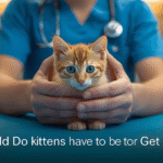 how old do kittens have to be to get fixed
