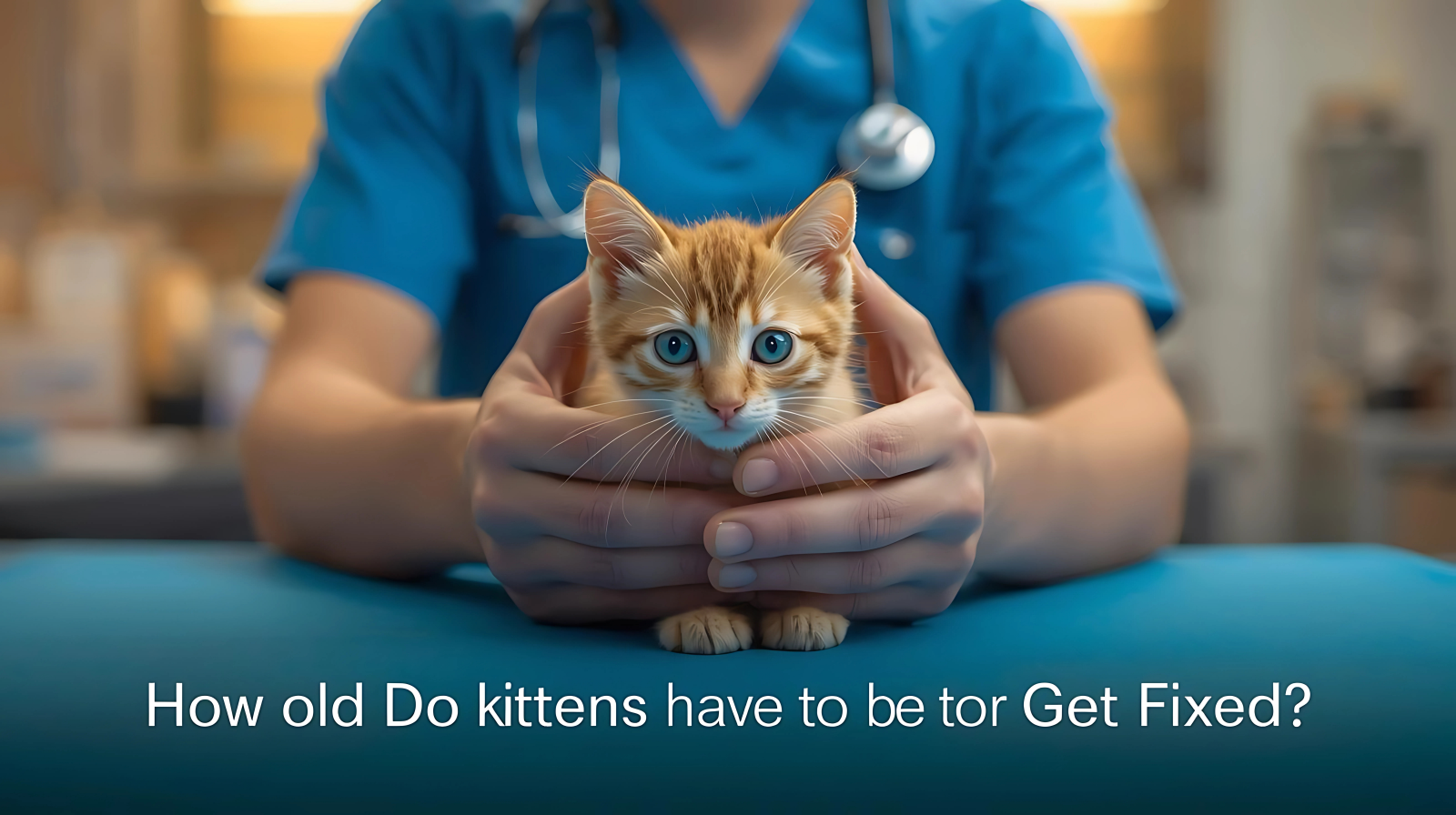 how old do kittens have to be to get fixed