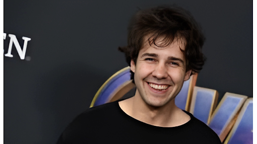 david dobrik net worth