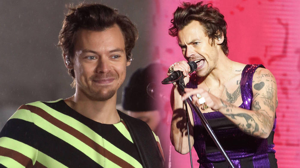 312607 - Eromee | Trending News, Tech & Lifestyle Updates Harry Stylist